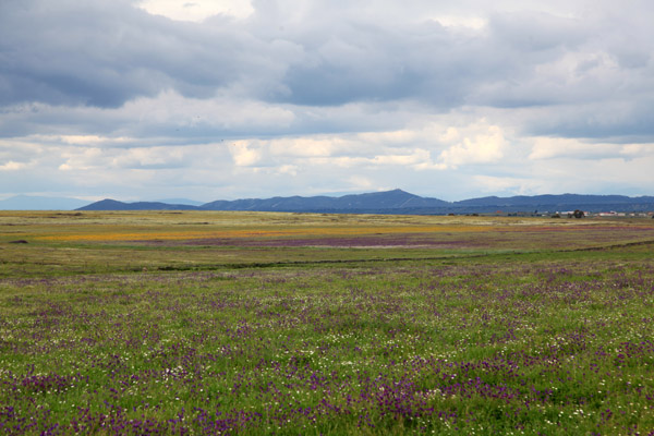 Mooi, maar desolaat landschap